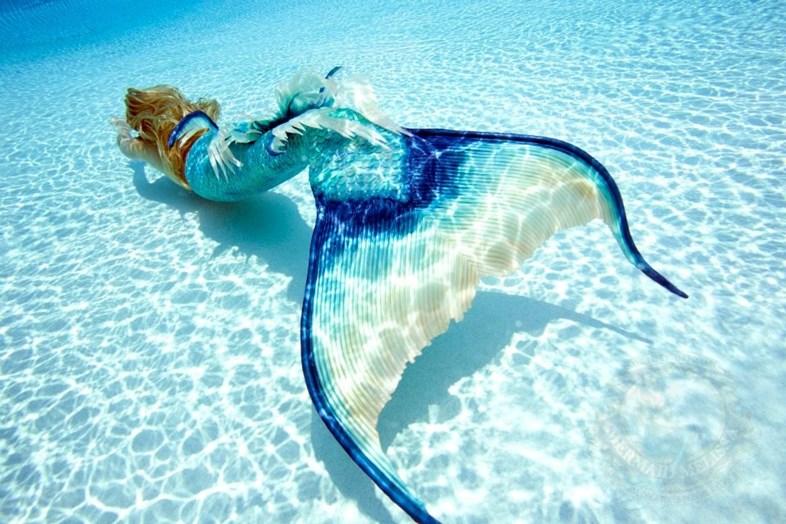 Mermaid Polish ~ blue tansy organic body salt scrub